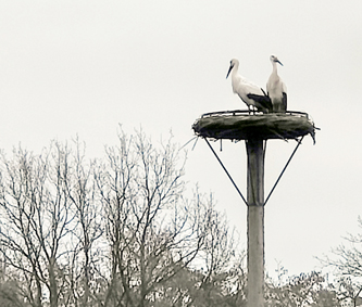 260226 lente in het dorp